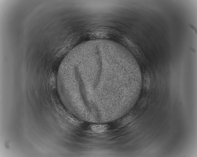 X0000102270465200808221441
