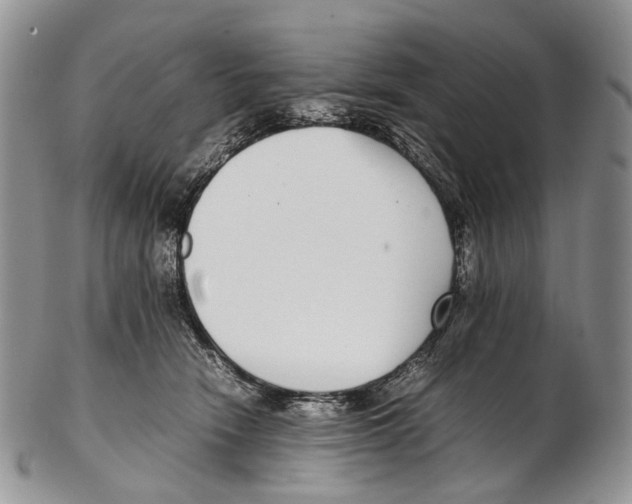 X0000102270466200808221441