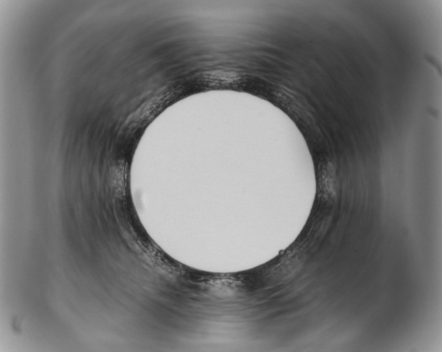 X0000102270468200808221441