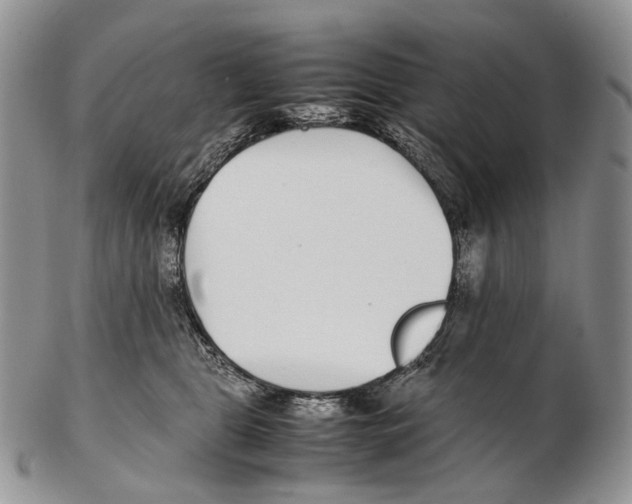 X0000102270469200808221441