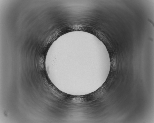 X0000102270470200808221441
