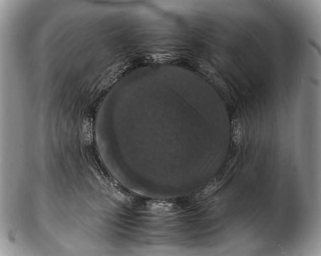X0000102270471200808221441
