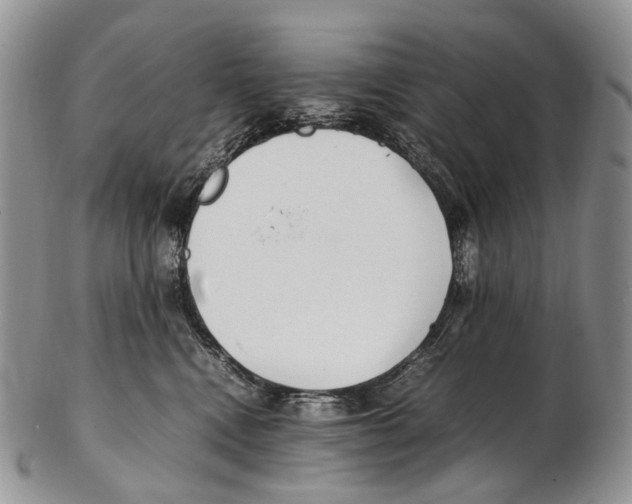 X0000102270472200808221442