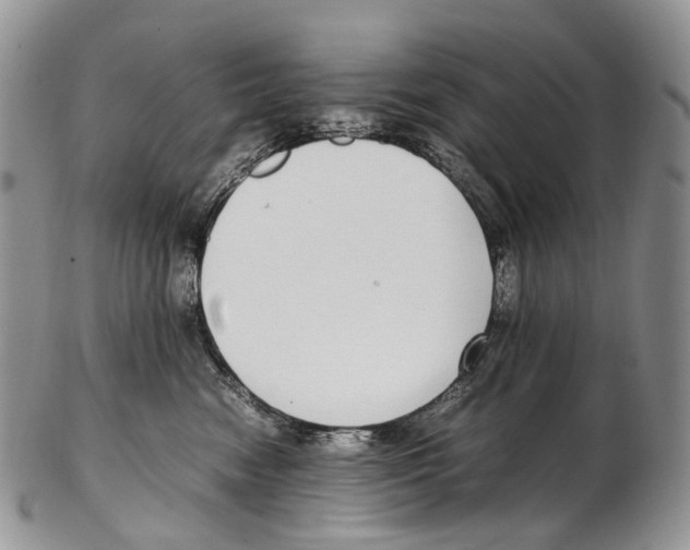 X0000102270474200808221442