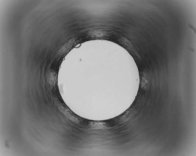 X0000102270476200808221442
