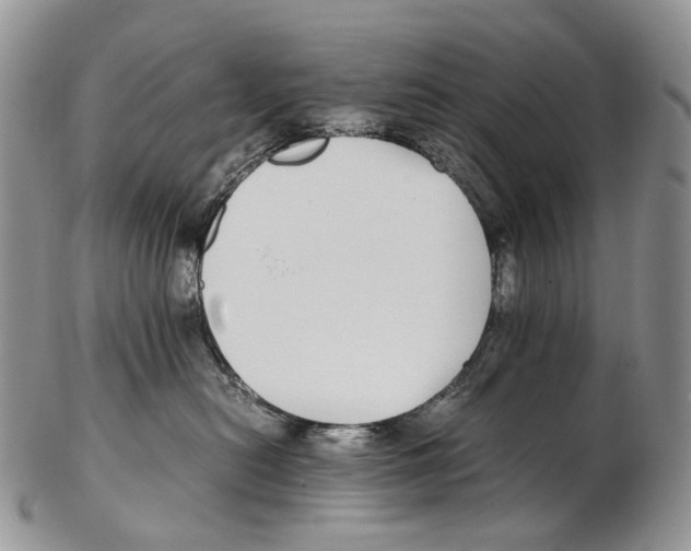 X0000102270478200808221442