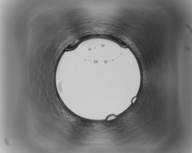 X0000102270481200808221441