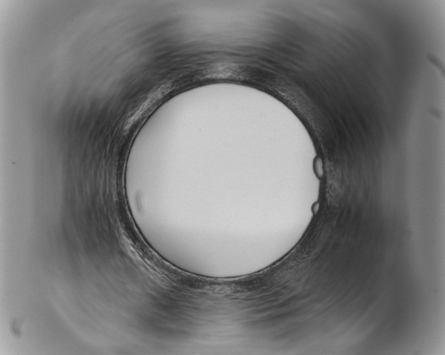 X0000102270482200808221441