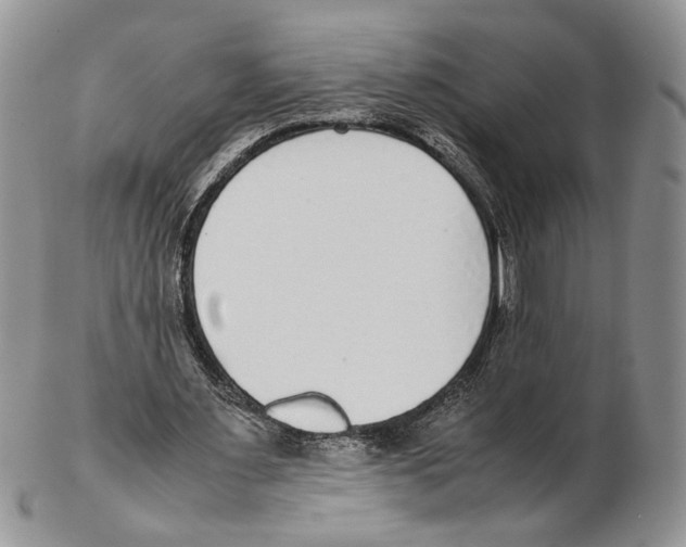 X0000102270483200808221441