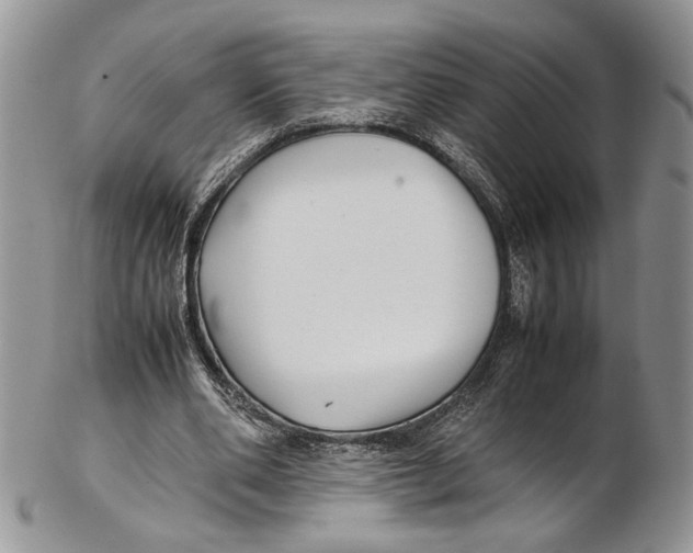 X0000102270486200808221441