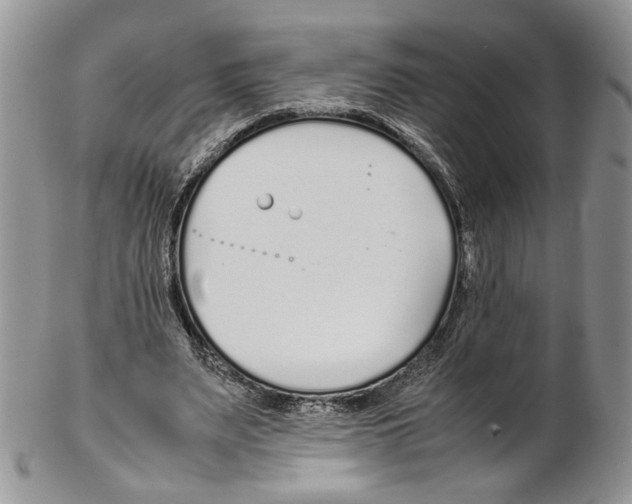 X0000102270487200808221441