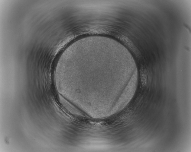 X0000102270488200808221441