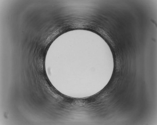 X0000102270489200808221441