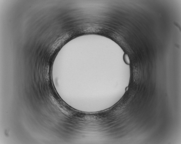 X0000102270490200808221441
