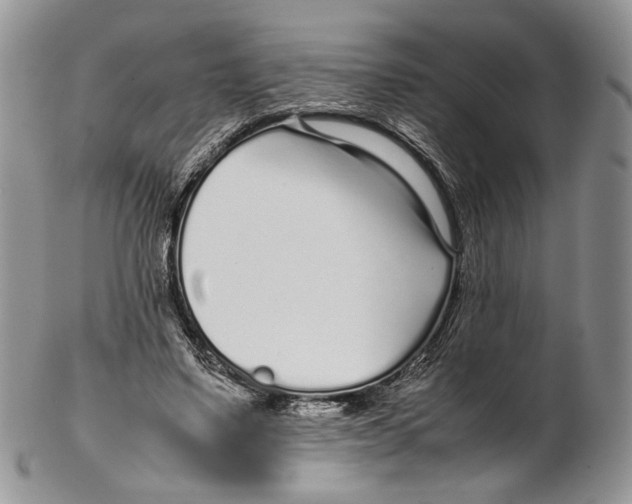 X0000102270491200808221441