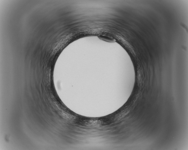 X0000102270493200808221441