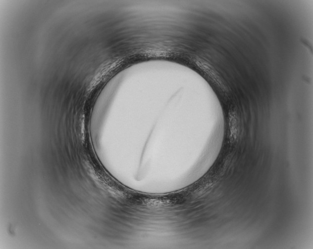 X0000102270494200808221441