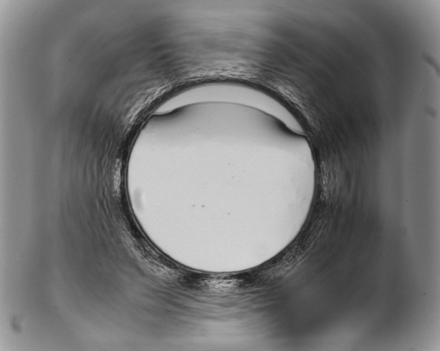 X0000102270495200808221441