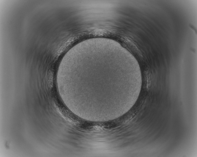 X0000102270496200808221441