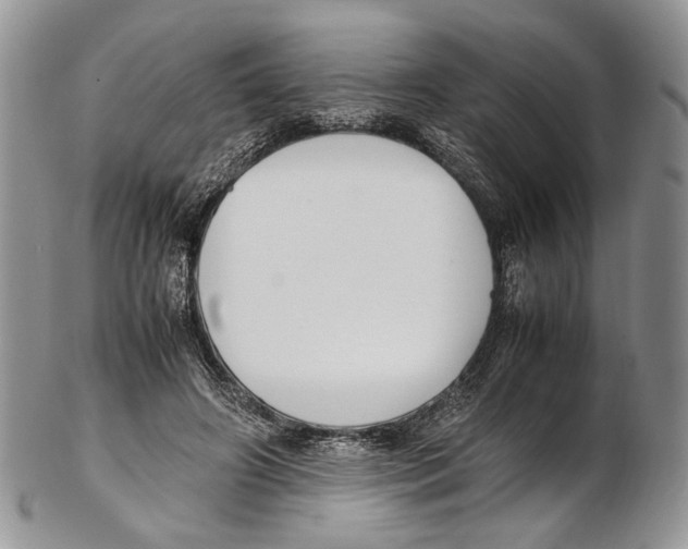 X0000102270498200808221441