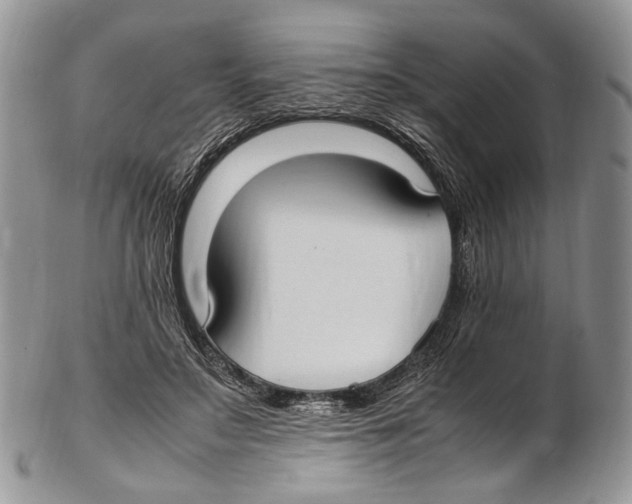 X0000102270499200808221441