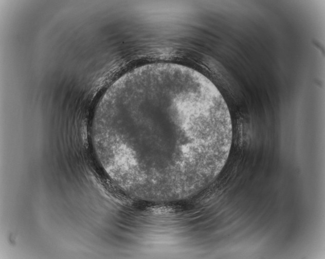 X0000102270500200808221441