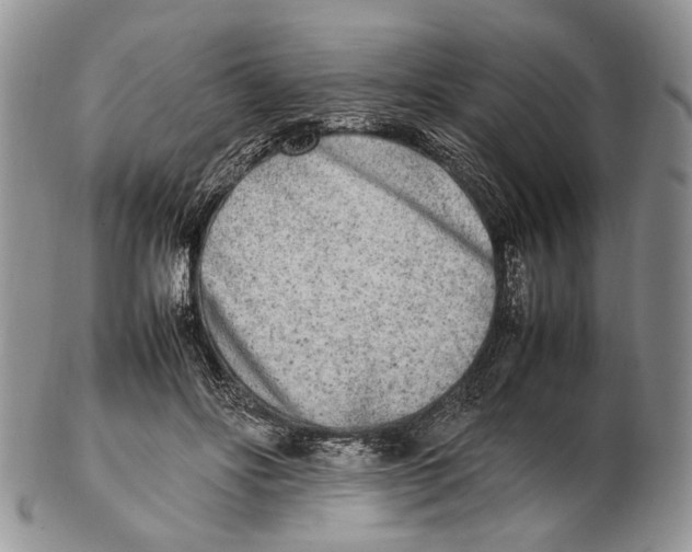 X0000102270502200808221441