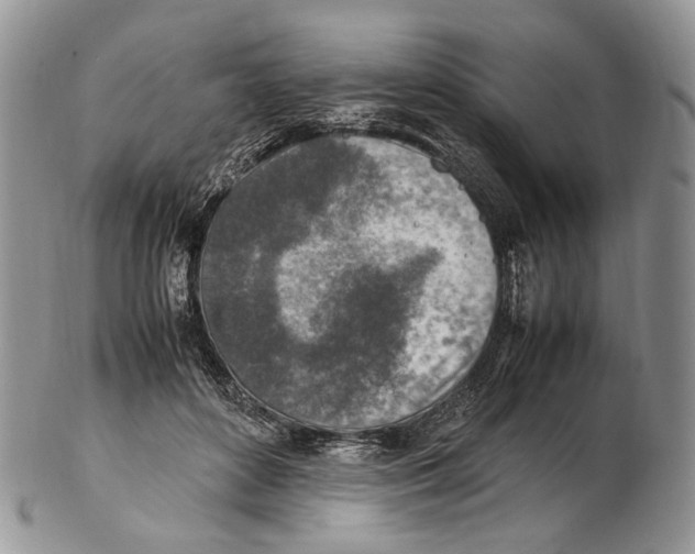 X0000102270504200808221441