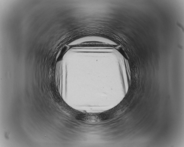 X0000102270507200808221441