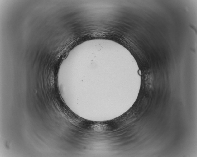 X0000102270508200808221441
