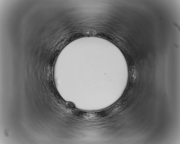 X0000102270511200808221440
