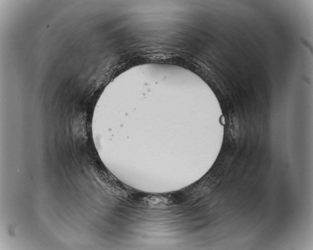 X0000102270512200808221440