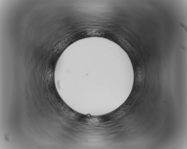 X0000102270513200808221440