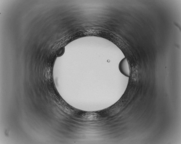 X0000102270514200808221440