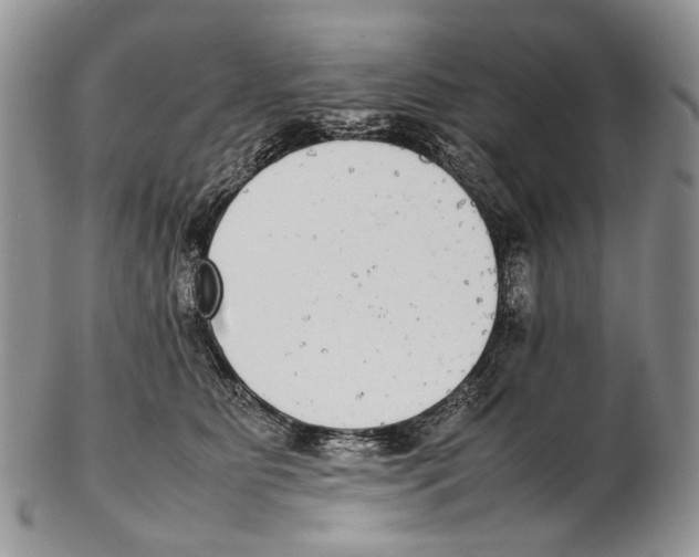 X0000102270515200808221440