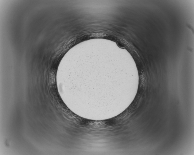 X0000102270517200808221440