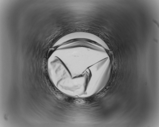 X0000102270519200808221440