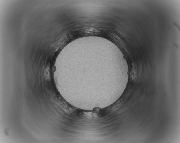 X0000102270520200808221440