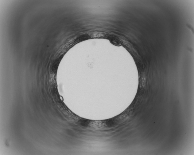 X0000102270521200808221440