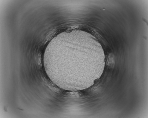 X0000102270524200808221440