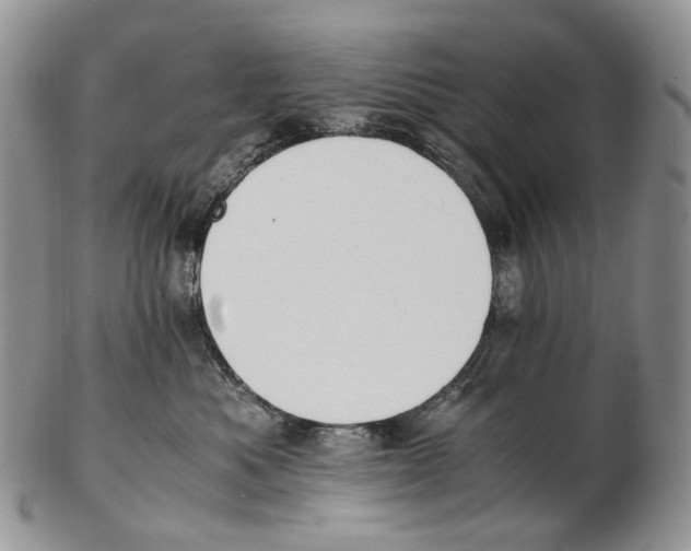 X0000102270525200808221440