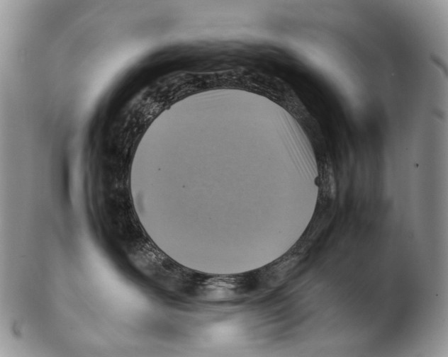 X0000102270526200808221440