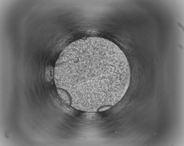 X0000102270528200808221440