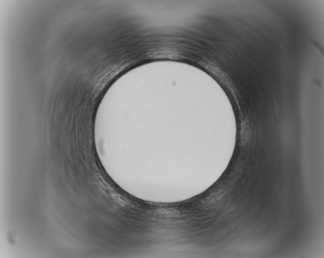 X0000102270529200808221440