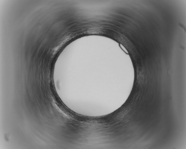 X0000102270530200808221440