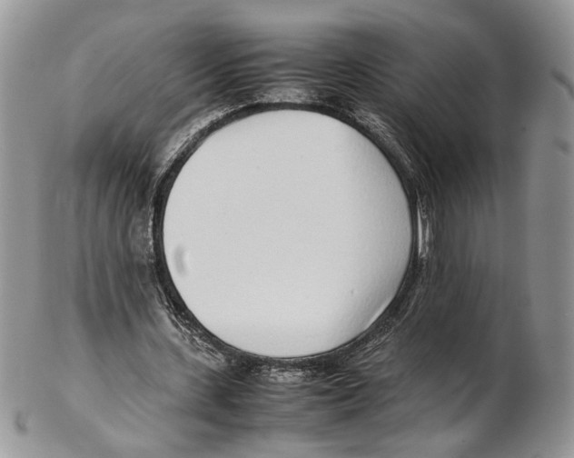 X0000102270531200808221440