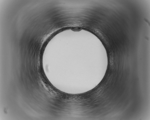 X0000102270532200808221440