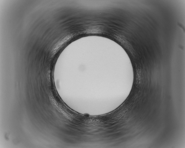X0000102270535200808221440