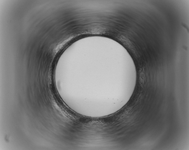 X0000102270536200808221440