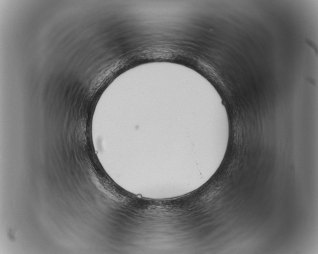 X0000102270538200808221440